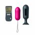 Dorcel Secret Vibe - set ou vibrator cu telecomandă (2 piese) 