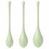 Satisfyer Yoni Power 2 - set bile vaginale - verde (3 piese) 