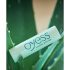 Oyess BIO - balsam de buze natural (aloe vera)