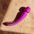 LELO Smart Wand 2 - vibrator masaj de dimensiuni medii, reîncărcabil (lila) 